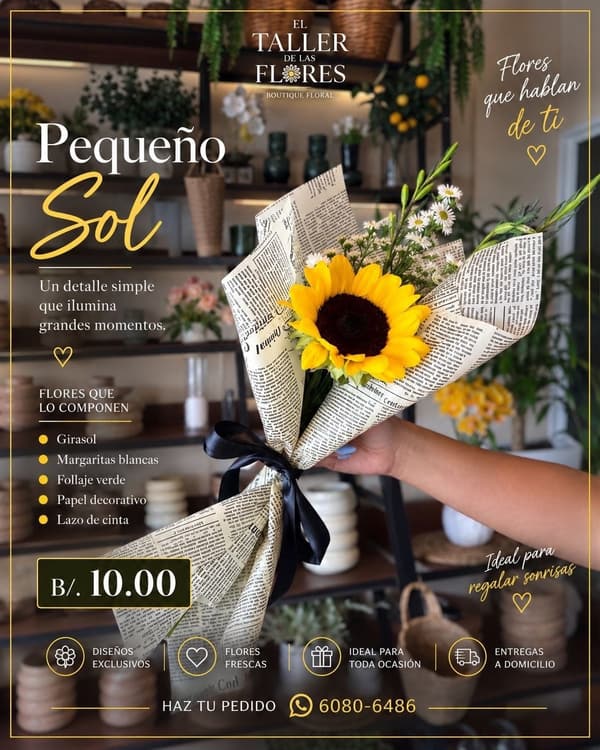 Bouquet Pequeño Sol: un girasol con margaritas blancas y follaje verde, envuelto en papel decorativo con lazo de cinta.