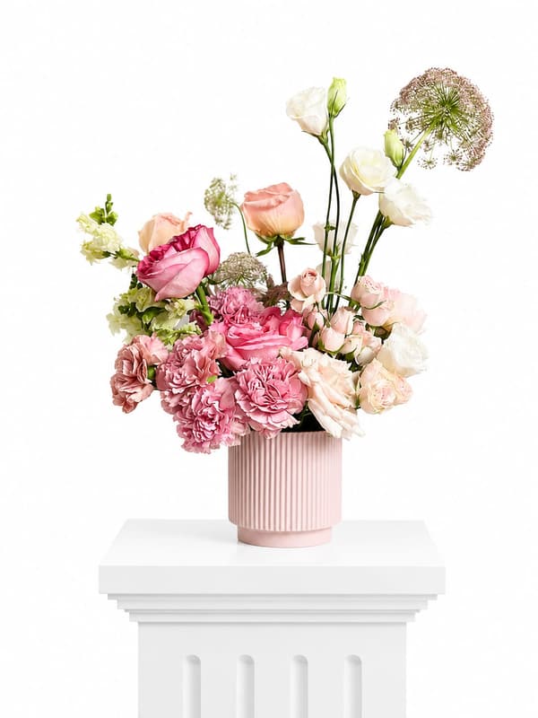 Blush Élégance