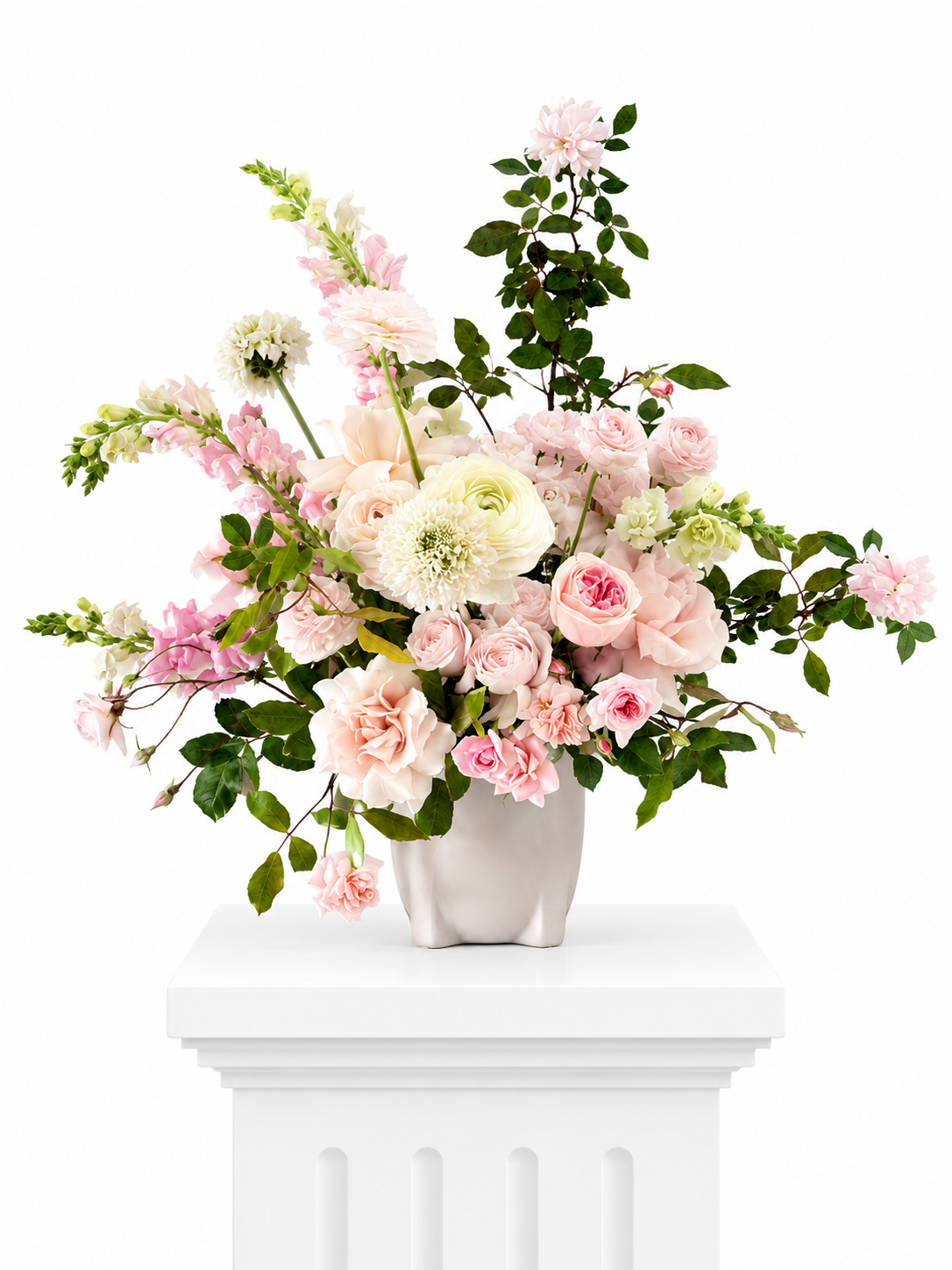 Jardin de Rosé