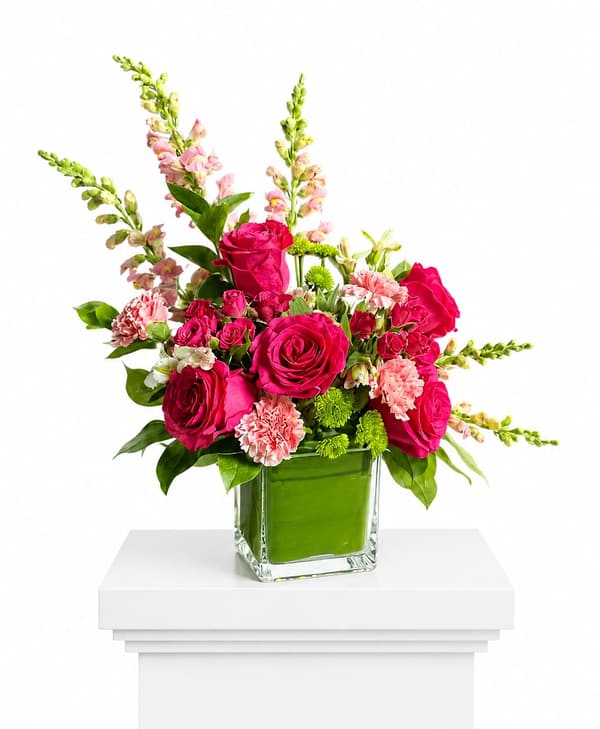 Fuchsia Love